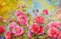 Hoa Hồng Dẫn Lỗi Tương Phùng