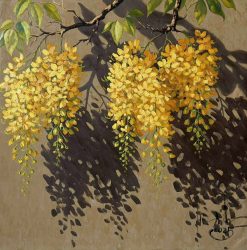 Hương Của Nắng