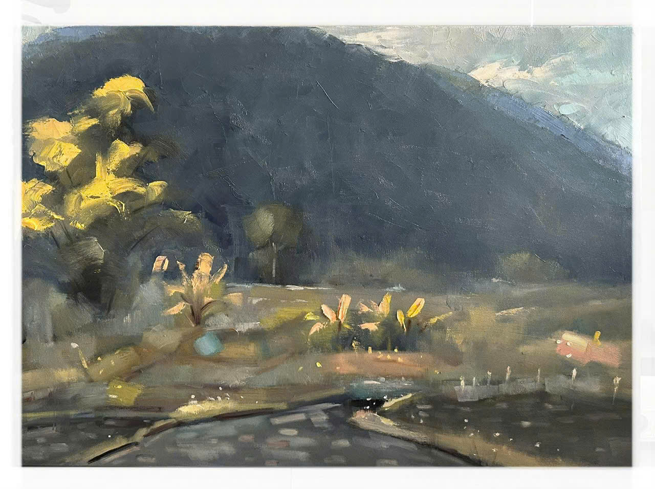 Cánh Đồng Chiều